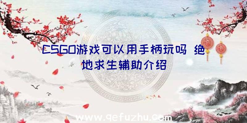 CSGO游戏可以用手柄玩吗